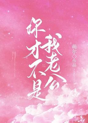你才不是我老公封面