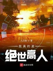 我真的是绝世高人封面