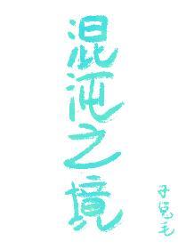 混沌之境[无限]封面