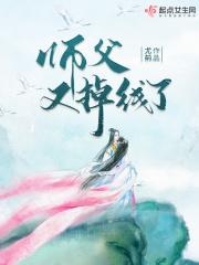 师父又掉线了封面