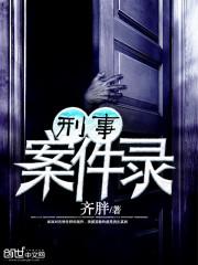 刑事案件录封面