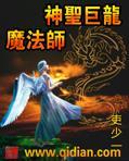 神圣巨龙魔法师封面