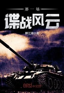 那一场谍战风云封面
