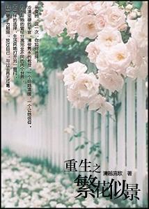 重生之繁花似景(伪军旅)封面