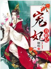 宠妃升职记封面