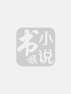 极品小医仙封面