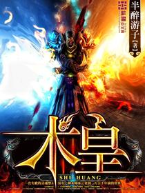术皇封面