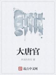 大唐官封面