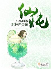 仙炖封面