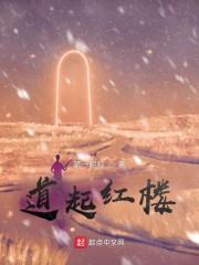道起红楼封面