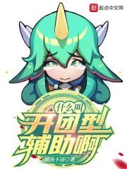 什么叫开团型辅助啊封面