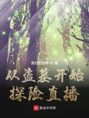 从盗墓开始探险直播封面