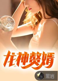 万年龙婿封面