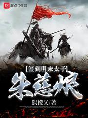 签到明末太子朱慈烺封面