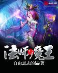 法师与魔王封面