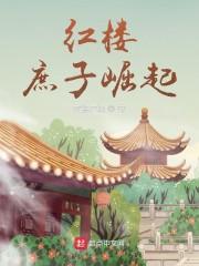 红楼：庶子崛起封面