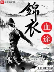 锦衣血途封面