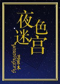 夜色迷宫封面