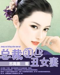 总裁盯上丑女妻封面