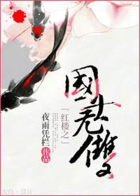 红楼之国士无双封面