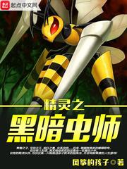 精灵之黑暗虫师封面