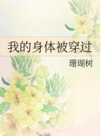 我的身体被穿过封面