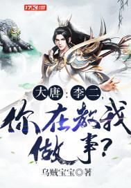 大唐:李二,你在教我做事?封面