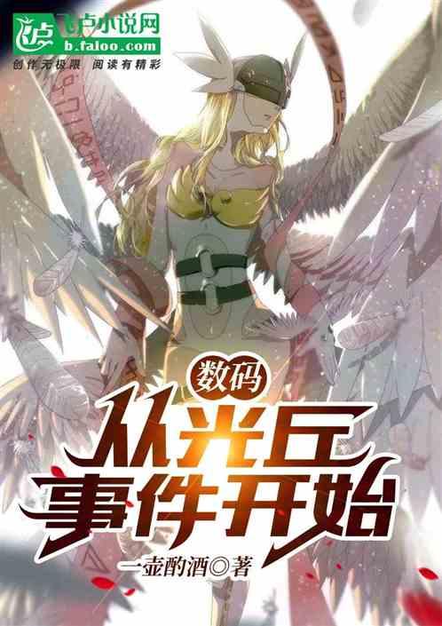 数码：从光丘事件开始封面