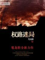 权路迷局封面