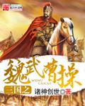 三国之魏武曹操封面