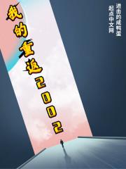 我的重返2002封面