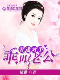 妻逢对手：乖，叫老公！封面