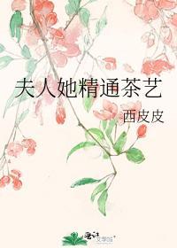 夫人她精通茶艺封面