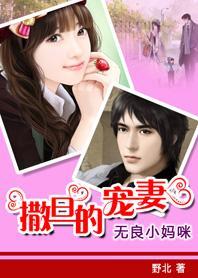 总统的情人：撒旦的宠妻封面