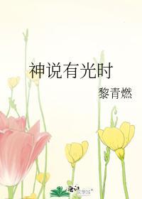 神说有光时封面