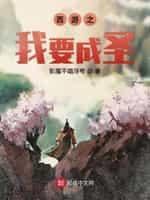 西游之我要成圣封面