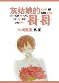 灰姑娘的哥哥封面