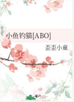 小鱼钓猫封面