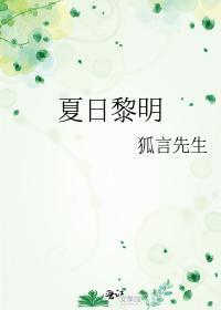 夏日黎明封面