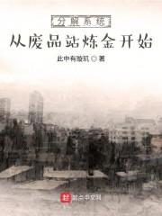 分解系统从废品站炼金开始封面