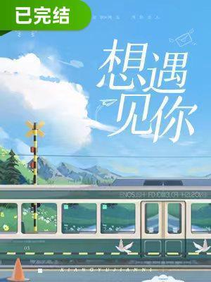 想遇见你封面