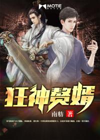 狂神赘婿封面