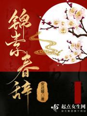 锦素春辞封面