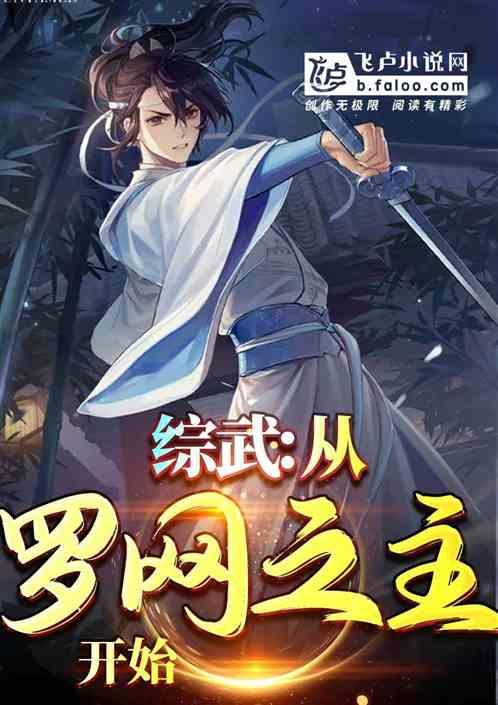 综武:从罗网之主开始封面