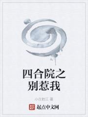 四合院之别惹我封面