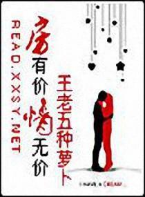 房有价,情无价封面