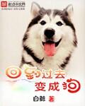 回到过去变成狗封面