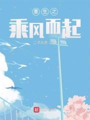 重生之乘风而起封面