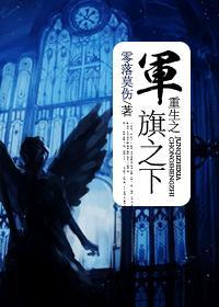 重生之军旗之下封面