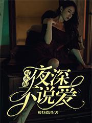 对不起，夜深不说爱封面